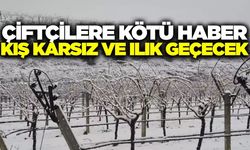 Meteorolojik veriler karsız bir kışa işaret ediyor