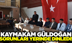 Kaymakam Güldoğan, 3 mahalleyi ziyaret etti!