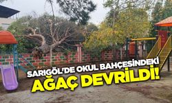 Sarıgöl'de devrilen ağaç endişeye sebep oldu!