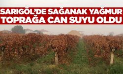 Sarıgöl'de yağan yağmur çiftçileri mutlu etti