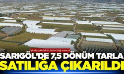 Sarıgöl'de mahkemeden satılık, üzüm bağı niteliğinde tarla