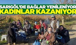 Sarıgöl'de bağ yenileme çalışmaları kadınlara iş imkanı oldu