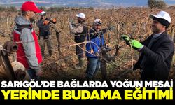 Sarıgöl'de budakçılara bağda uygulamalı eğitim