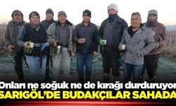 Sarıgöl'de budama ekipleri soğuğa rağmen sahada
