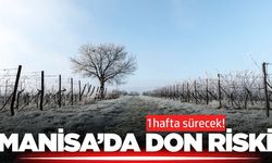 Sarıgöl'de Zirai Don Riskine Dikkat!