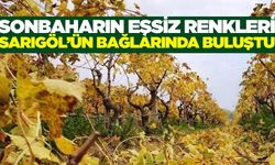 Sarıgöl'de muhteşem görüntüler eşliğinde budama mesaisi