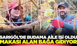 Sarıgöl'de yüksek işçi ücretleri aileleri budak işine yöneltti