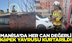 Manisa'da Çatıda Mahsur Kalan Köpek Yavrusunu İtfaiye Kurtardı