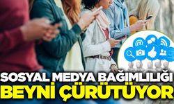 Sosyal medya bağımlılığı beyinde daralma ve işlev kaybı riskini artırıyor