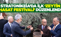 Stratonikeia Antik Kenti'nde ilk 'Zeytin Hasat Festivali' coşkusu