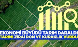 Türkiye ekonomisi büyüdü! Tarım ise geriledi