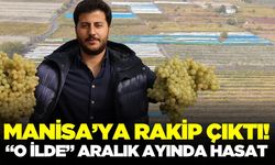 Sarıgöl üzümüne rakip! Hedef: Ocak