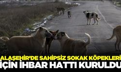 Alaşehir'de sokak köpekleri için ihbar hattı kuruldu
