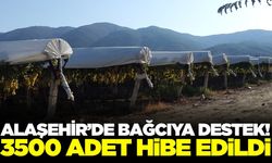 Alaşehir'de bağcılara önemli destek