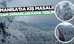 Akçakertik’in Kartpostallık manzarası görenleri büyüledi!