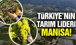 Manisa tarımda liderliği kaptı!