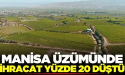 Manisa üzümünde ihracat yüzde 20 düştü
