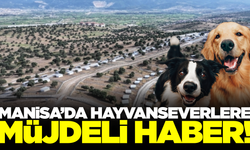 Manisa'da hayvanseverleri sevindiren haber!