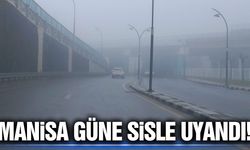 Manisa'da sis etkili oldu!