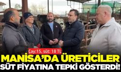 Manisa'daki besiciler isyan etti: Sütçülüğü bırakacağım