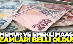 Memur ve emekli zammı belli oldu!