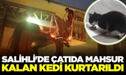 Salihli'de itfaiye ekipleri kediyi kurtardı