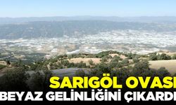 Sarıgöl Ovası Yeniden Yeşerdi!
