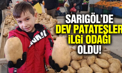 Sarıgöl pazarında dev patatesler görenleri şaşırttı!
