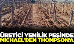 Sarıgöl'de bağcılar yenilik arıyor