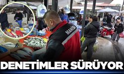 Sarıgöl’de balık tezgahlarına denetim