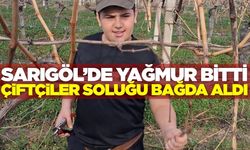 Sarıgöl'de yağmur bitti, bağlarda tempo arttı