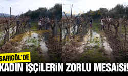 Sarıgöl'de yeni sezon hazırlıkları 'Bağlama' ile devam ediyor