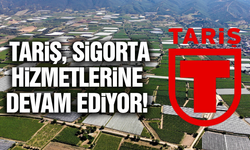TARİŞ sigorta hizmetlerine devam ediyor!
