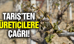 TARİŞ'ten üreticilere 'Sigorta' çağrısı!