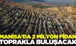 Manisa'da ağaçlandırma seferberliği devam ediyor!