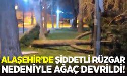 Alaşehir'i fırtına vurdu: Ağaçlar devrildi