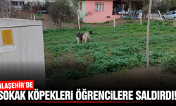 Alaşehir'de korku dolu anlar: Sahipsiz köpekler öğrencilere saldırdı!
