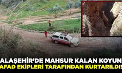 Alaşehir’de mahsur kalan koyun AFAD tarafından kurtarıldı
