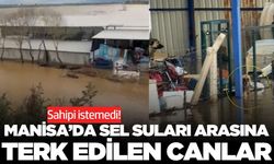 Manisa'da sel manzarası yürek burktu!