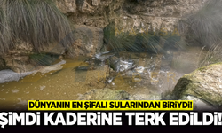 Yıllardır atıl vaziyette: Köprübaşı’nın gizli hazinesi yok oluyor!