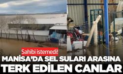 Manisa'da sel manzarası yürek burktu!