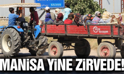 Tarımın başkenti Manisa yine zirvede!