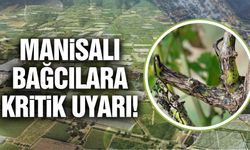 Manisa Tarım Müdürlüğü'nden bağcılara uyarı!