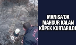 Manisa'da derede mahsur kalan köpek kurtarıldı