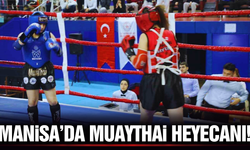 Manisa'da muaythai il seçmeleri heyecanı!