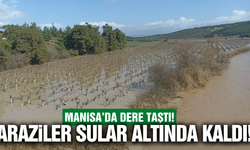 Manisa'da sağanak sonrası dere taştı: Tarım arazileri sular altında kaldı