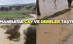 Manisa'da sağanak yağış nedeniyle çay ve dereler taştı