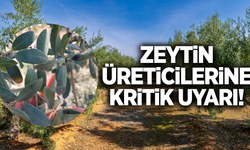 Manisa'da üreticilere kritik uyarı!