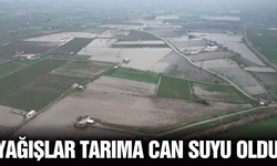 Manisa’da yağışlar yeraltı sularına can verdi