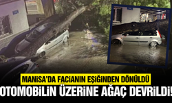 Manisa'da yıldırım düşen ağaç, otomobilin üzerine devrildi
